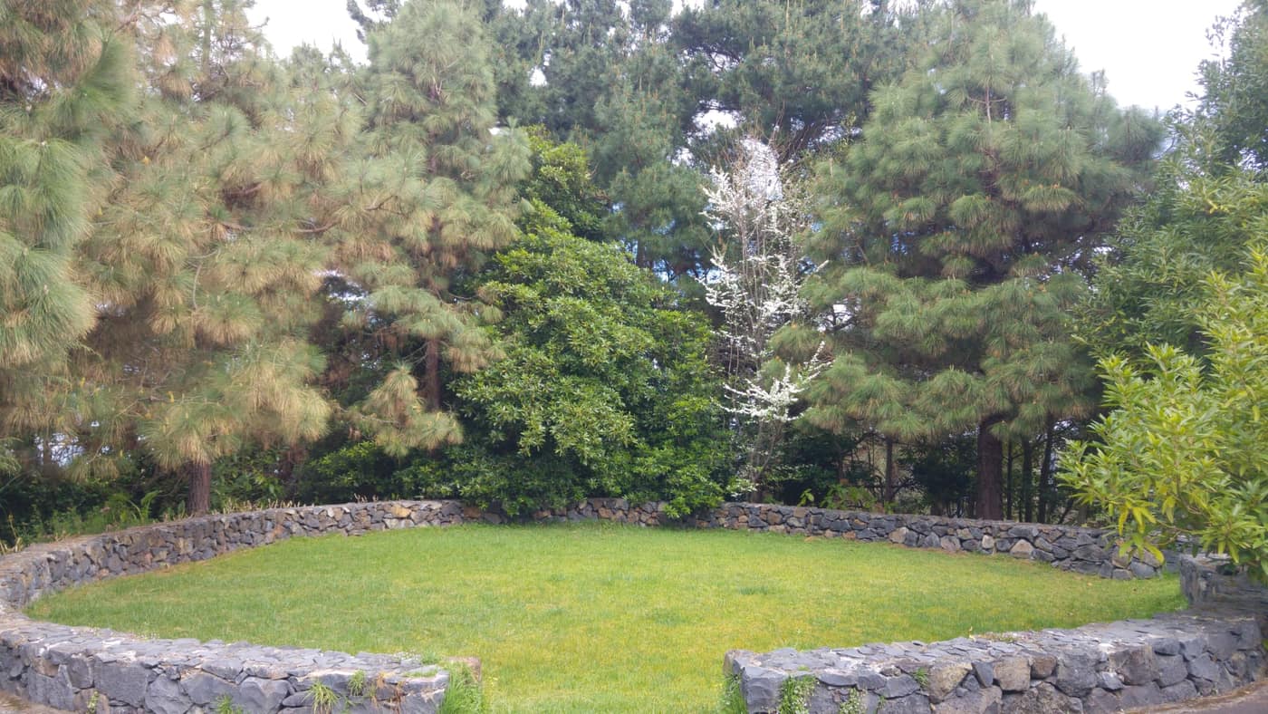 Cancha de petanca recortada entre pinos canarios, vista del anillo de piedra