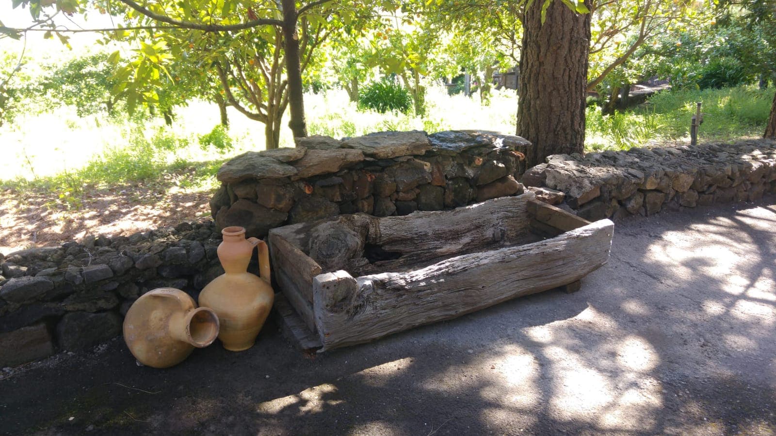 A trough carved from a single hollowed-out trunk. The animals' feeder and water trough, resting against the wall.