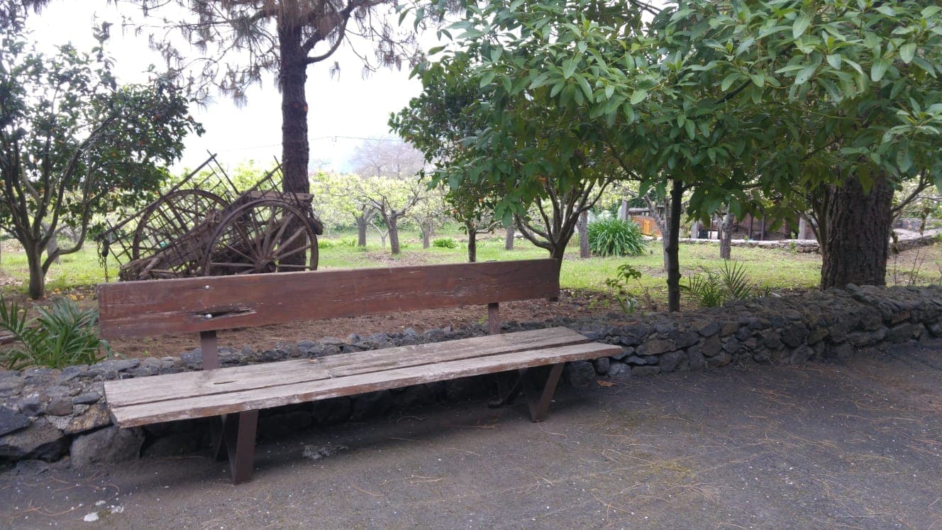 Carro etnográfico de madera y banco bajo el almendro, junto a la era