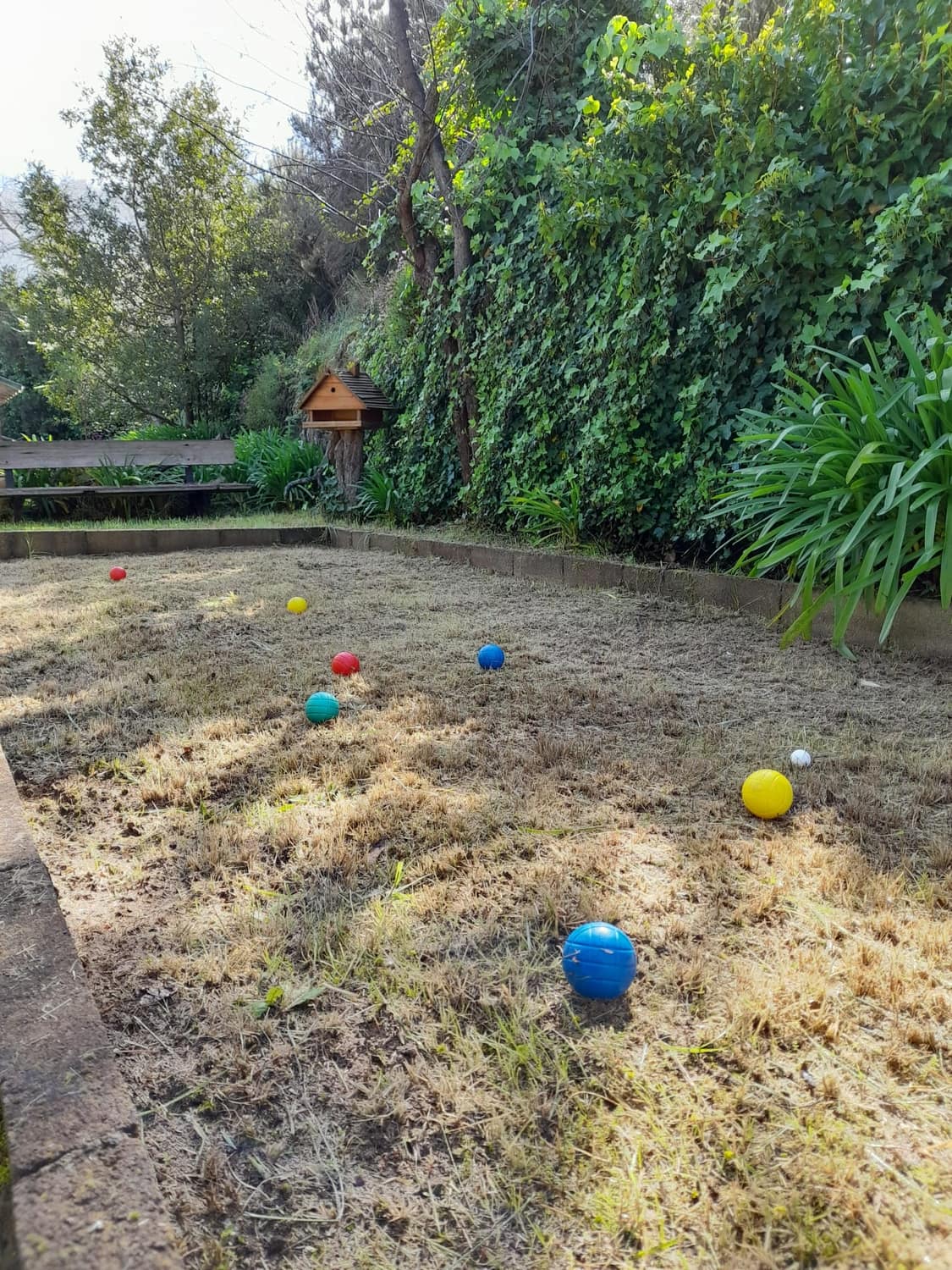 Una cancha entre pinos canarios. Para las tardes largas, con sombra y un vaso fresco.